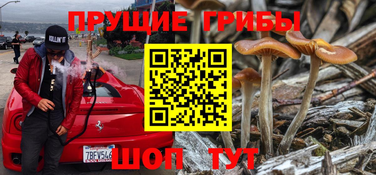 Псилоцибиновые грибы Magic Shrooms  Галлюциногенные грибы мицелий  Дербент  Вход с VPN 